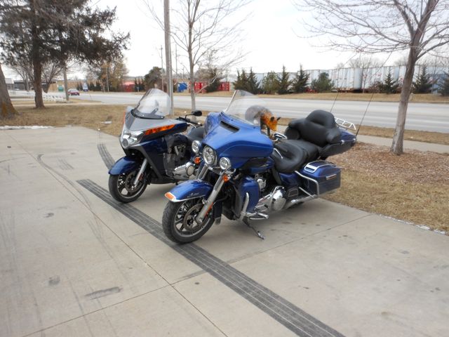 When I arrived these two bikes were already there.  The pig's anatomy wasn't blue, but the bikes were. Two more bikes arrived later but I didn't get out there to get a photo.