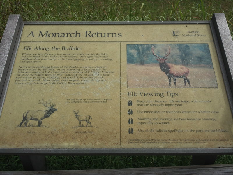 20150916_110752.jpg