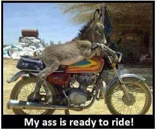 My ass is ready to ride %282%29-20150123-164401827.jpg