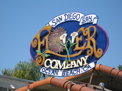 I got my Pacific Ocean Sand and Salt Water at Ocean Beach, San Diego, CA