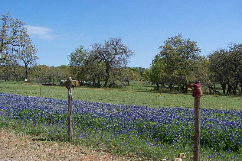 Beautiful ride in Texas Hill country.