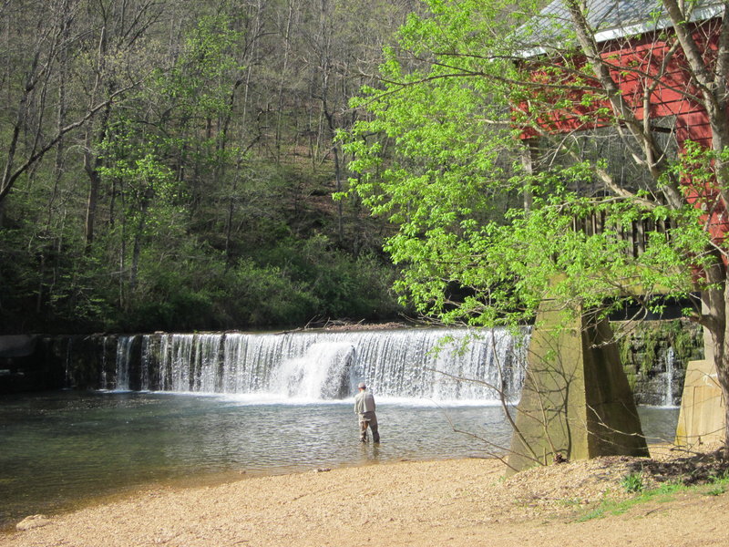 LOADED with trout--catch and keep