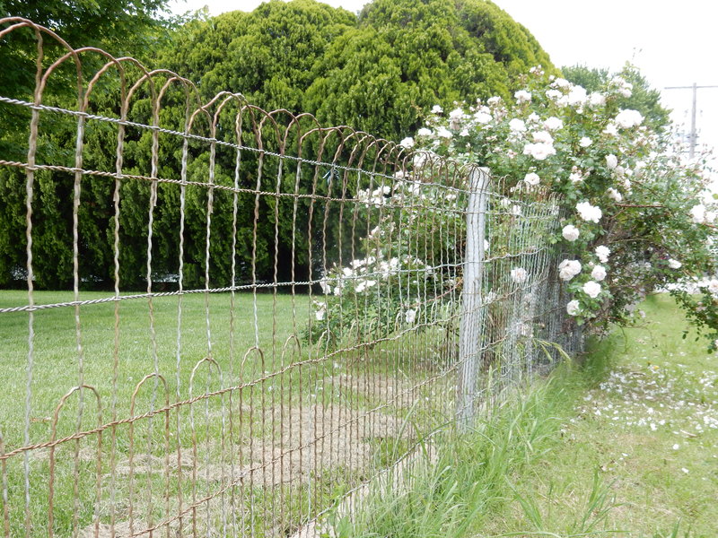 I grew up around these loop wire fences, warms my heart to see a few still surviving