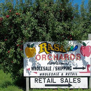 RASA Orchard.jpg