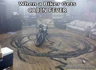 Cabin Feaver.jpg