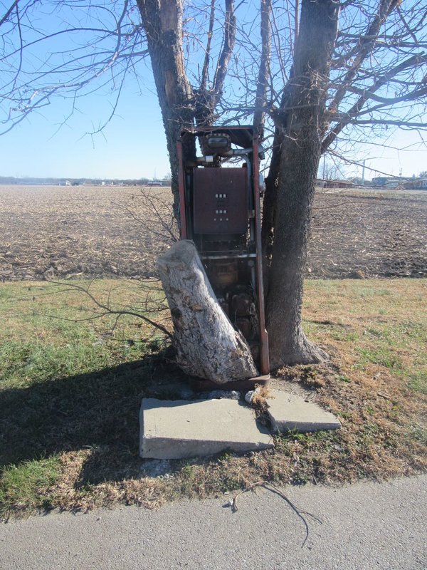 IT TAKES A WHILE TO SET THIS PICTURE UP.  SWANEE TOOK ONE OF THIS TREE A YEAR AGO, BUT I COULDN'T RESIST THE URGE TO TAKE IT AGAIN THIS YEAR.  YOU KNOW, IT CHANGES FROM YEAR TO YEAR. HARRY PARKED HIS CORVETTE IN FRONT OF IT AND WAITED AN HOUR FOR SOMEONE TO COME OUT AND FILL IT UP.