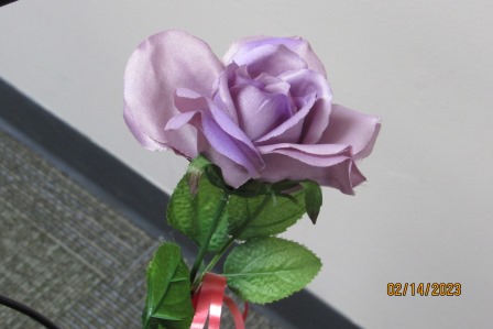 One of the roses Mary Rose was giving out, thanks again.