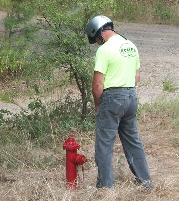 an unidentified ROMEO finds relief in the middle of Nowhere, AR