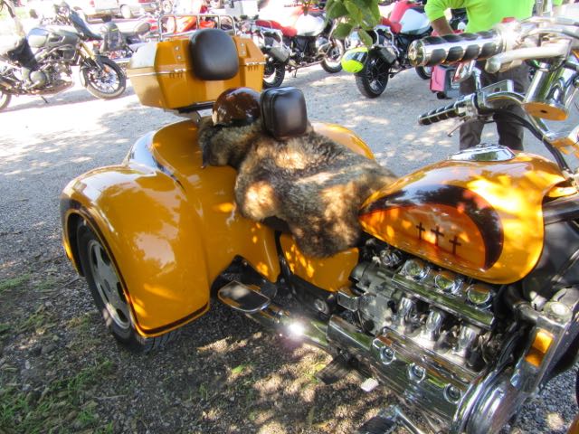 Hmm, by golly as big as that is, it could be a brown bear! But I know one thing, it sure is a pretty paint job!