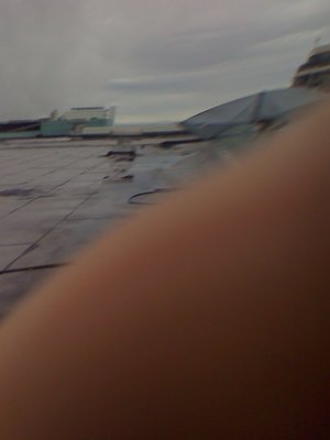 Picture 1403.jpg