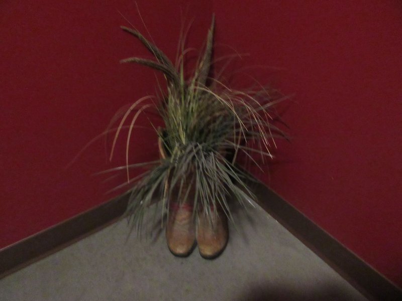 Now you know why that old saying, "Don't let the grass grow under your feet" is true.  It'll grow plumb up through yer boots!