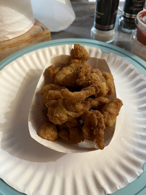 The alligator which most wouldn't try