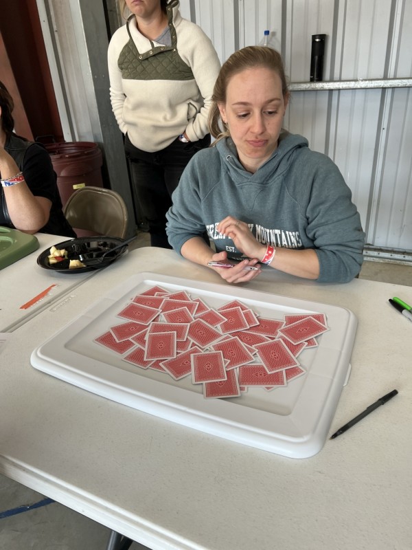 Cards for the POKER HAND