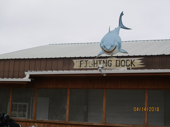 The Fishing Dock.png