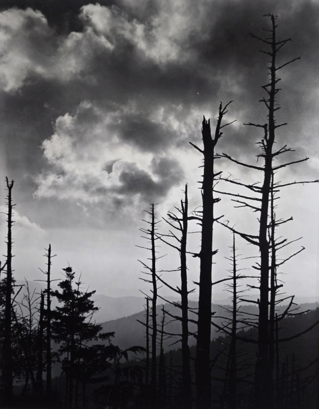 Clingman's Dome at sunset  courtesy of JR